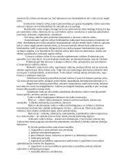 Vadovo įtaka organizacijos sėkmei 5 puslapis