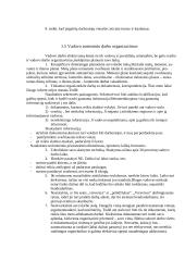 Vadovo įtaka organizacijos sėkmei 6 puslapis