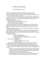 Vadovo įtaka organizacijos sėkmei 7 puslapis