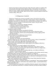 Vadovo įtaka organizacijos sėkmei 9 puslapis