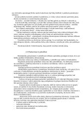 Vadovo įtaka organizacijos sėkmei 10 puslapis