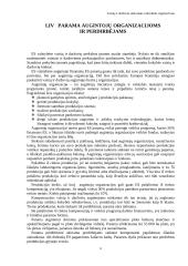 Vaisių ir daržovių sektoriaus prekybinis reguliavimas 6 puslapis