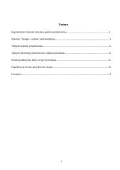 Valdymo elementų projektavimo principai 2 puslapis