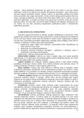 Valdymo funkcijos ir jų klasifikavimas 12 puslapis