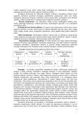 Valdymo funkcijos ir jų klasifikavimas 3 puslapis