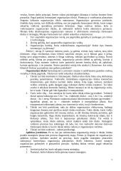 Valdymo funkcijos ir jų klasifikavimas 4 puslapis