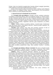 Valdymo funkcijos ir jų klasifikavimas 8 puslapis