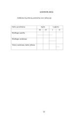 Valdymo metodai Lietuvos organizacijose 12 puslapis