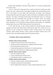 Mokslinio, administracinio ir idealaus biurokratinio valdymo teorijos 11 puslapis