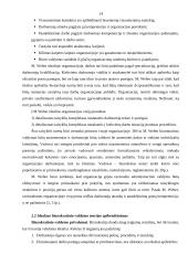 Mokslinio, administracinio ir idealaus biurokratinio valdymo teorijos 13 puslapis