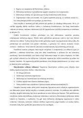 Mokslinio, administracinio ir idealaus biurokratinio valdymo teorijos 14 puslapis