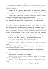 Mokslinio, administracinio ir idealaus biurokratinio valdymo teorijos 20 puslapis