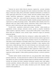 Mokslinio, administracinio ir idealaus biurokratinio valdymo teorijos 3 puslapis