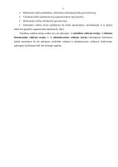 Mokslinio, administracinio ir idealaus biurokratinio valdymo teorijos 4 puslapis