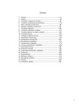 Valstybės sąvoka 2 puslapis