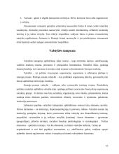 Valstybės sąvoka 11 puslapis