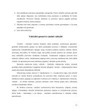 Valstybės sąvoka 14 puslapis