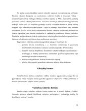 Valstybės sąvoka 15 puslapis