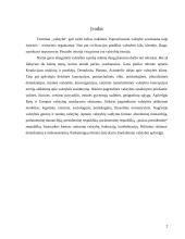 Valstybės sąvoka 3 puslapis