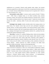 Valstybės sąvoka 6 puslapis