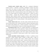 Valstybės sąvoka 7 puslapis