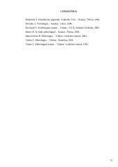 Valstybė visuomenės politinėje sistemoje 12 puslapis