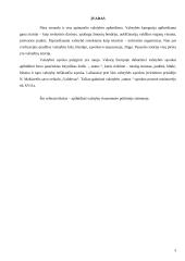 Valstybė visuomenės politinėje sistemoje 2 puslapis