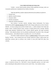 Valstybė visuomenės politinėje sistemoje 5 puslapis