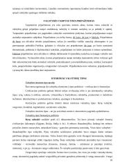 Valstybė visuomenės politinėje sistemoje 9 puslapis