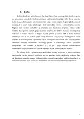 Valstybės biudžeto raida, esmė ir funkcijos 3 puslapis