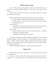 Valstybės biudžetas ir jo subalansavimo problemos 2 puslapis