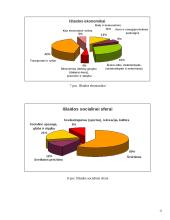Valstybės biudžetas ir jo subalansavimo problemos 11 puslapis
