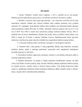 Valstybės biudžetas ir jo subalansavimo problemos 17 puslapis