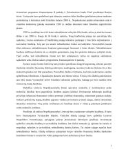 Valstybės biudžetas ir jo subalansavimo problemos 4 puslapis