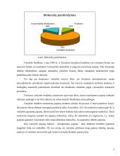 Valstybės biudžetas ir jo subalansavimo problemos 8 puslapis