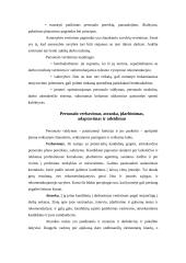 Valstybės tarnyba personalo vadybos aspektu 14 puslapis