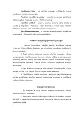 Valstybės tarnyba personalo vadybos aspektu 3 puslapis