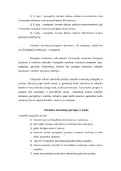 Valstybės tarnyba personalo vadybos aspektu 5 puslapis