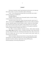 Valstybės vaidmuo Lietuvos ekonomikoje 3 puslapis