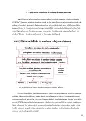 Valstybinio socialinio draudimo fondas 2 puslapis