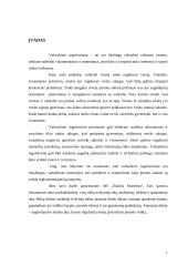 Valstybinis reguliavimas: AB "Šiaulių Stumbras" 2 puslapis