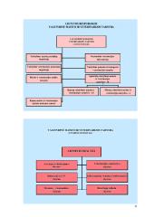 Valstybinis reguliavimas: AB "Šiaulių Stumbras" 12 puslapis