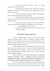 Valstybinis reguliavimas: AB "Šiaulių Stumbras" 16 puslapis