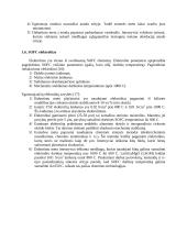 Vandenilio kuro elementai 5 puslapis