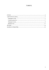 Vartotojo elgsenos teorija 2 puslapis