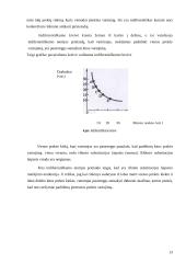 Vartotojo elgsenos teorija 12 puslapis