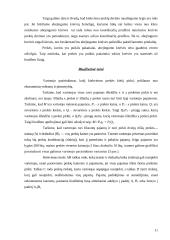 Vartotojo elgsenos teorija 10 puslapis