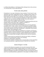 Veikianti verslo įmonė 2 puslapis