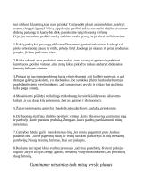 Veikianti verslo įmonė 3 puslapis