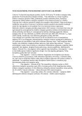 Vėjo elektrinių panaudojimo Lietuvoje galimybės 2 puslapis